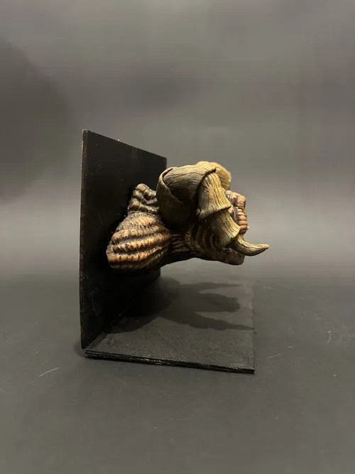 Depth Monster Bust, photo 5